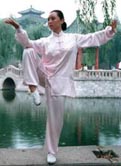 Tai-Ji Quan maestro arti marziali kung fu